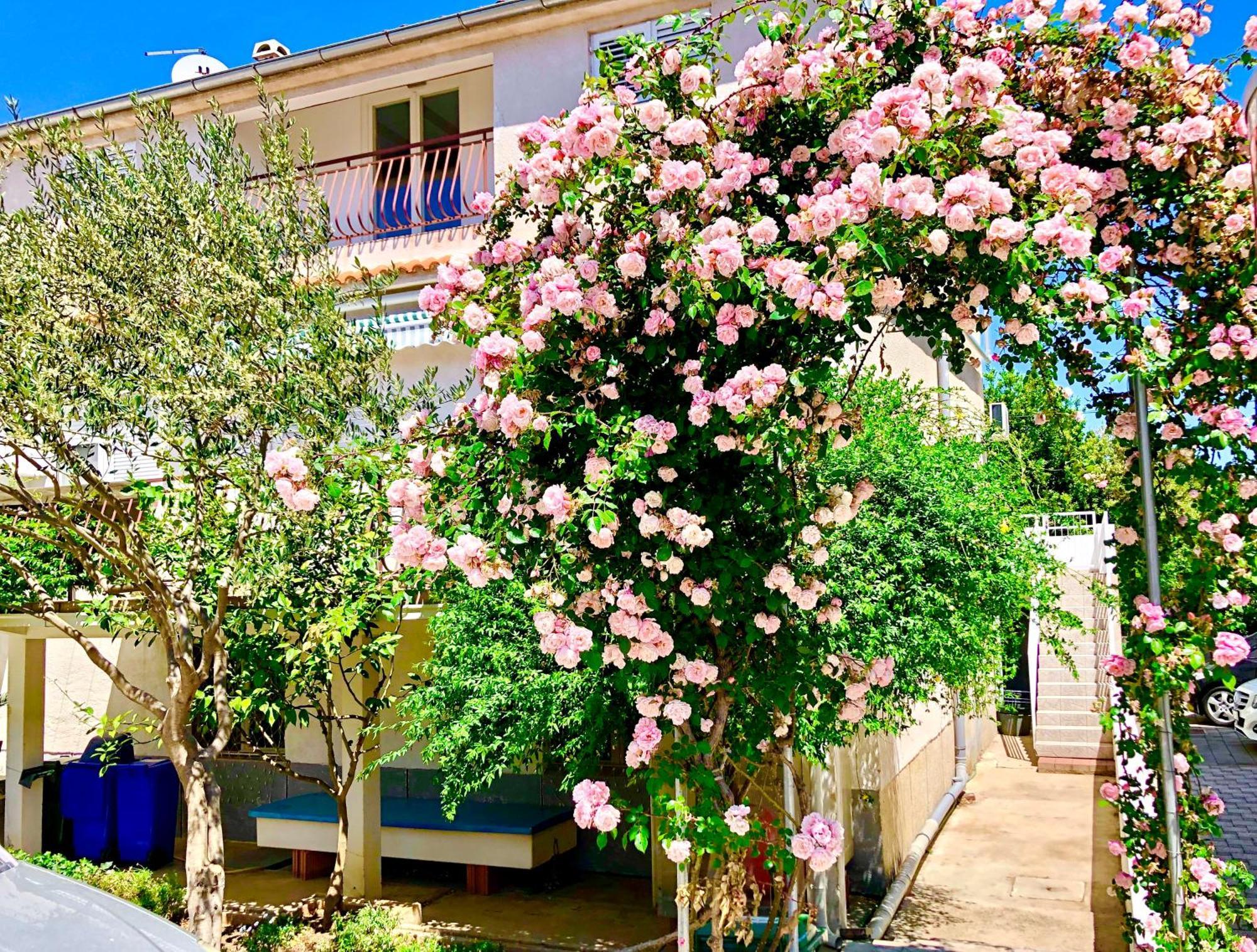 Apartments Cala Biograd Na Moru Ruang foto